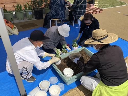 トルコギキョウ植え付け体験