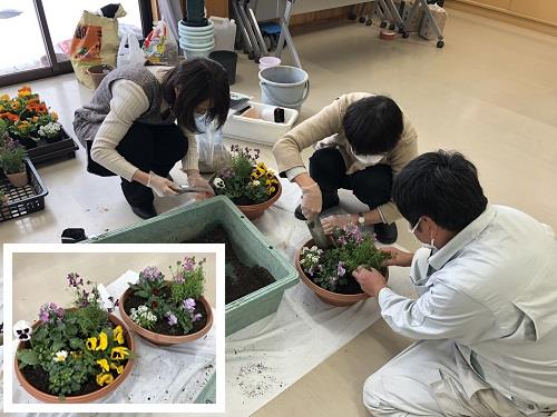 バレンタインに花の寄せ植え