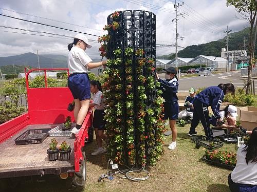 はあとふる体験