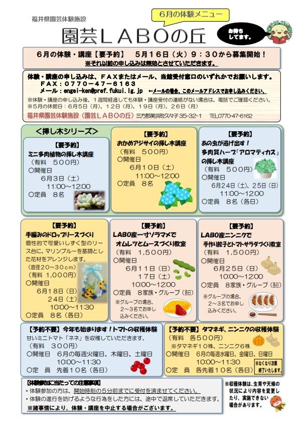 ６月チラシ表