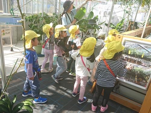 松陵幼稚園(トマトハウス見学)