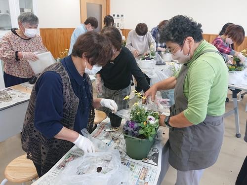 早春に咲くビオラと葉牡丹の寄せ植え教室