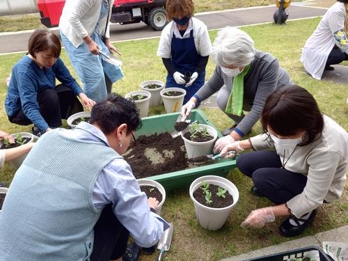 トルコギキョウのミニ寄せ植え