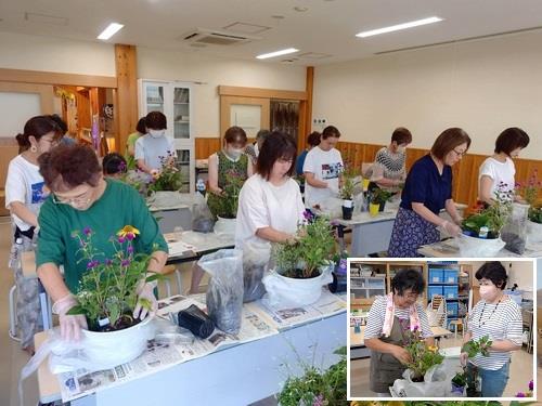 夏の花とカラーリーフの寄せ植え教室