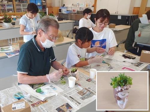 カラフルセダムの植え付け