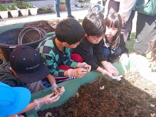 カブトムシ探検隊