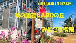 10月24日のLABO