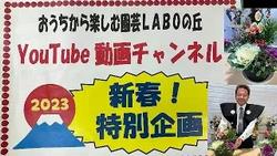 新春特別企画　新春花の寄せ植え