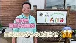 ＬＡＢＯからのお知らせ