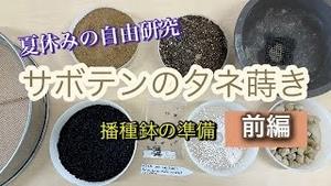 サボテンのタネ蒔き 前編