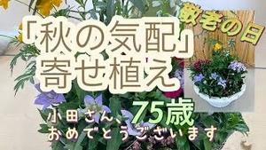 「秋の気配」を先取り! 秋の寄せ植え