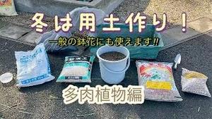 冬は用土作り！一般の鉢花にも使えます！！多肉植物編