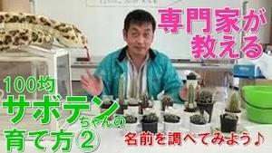 100均サボテンちゃん講座（２）