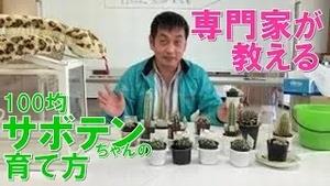 100均サボテンちゃん講座（１）