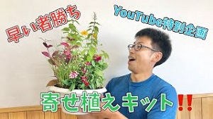 ボリューム満点‼︎秋の寄せ植えいかがですか⁉︎