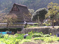 合掌造りの古民家の画像