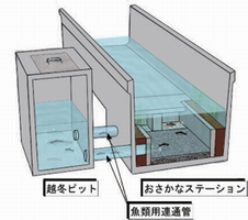 オプションピットを付けたイメージ