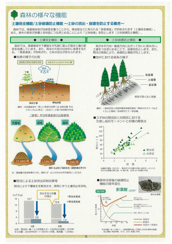 森林の様々な機能2