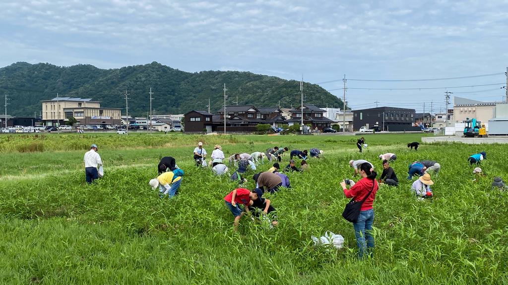 収穫祭の様子