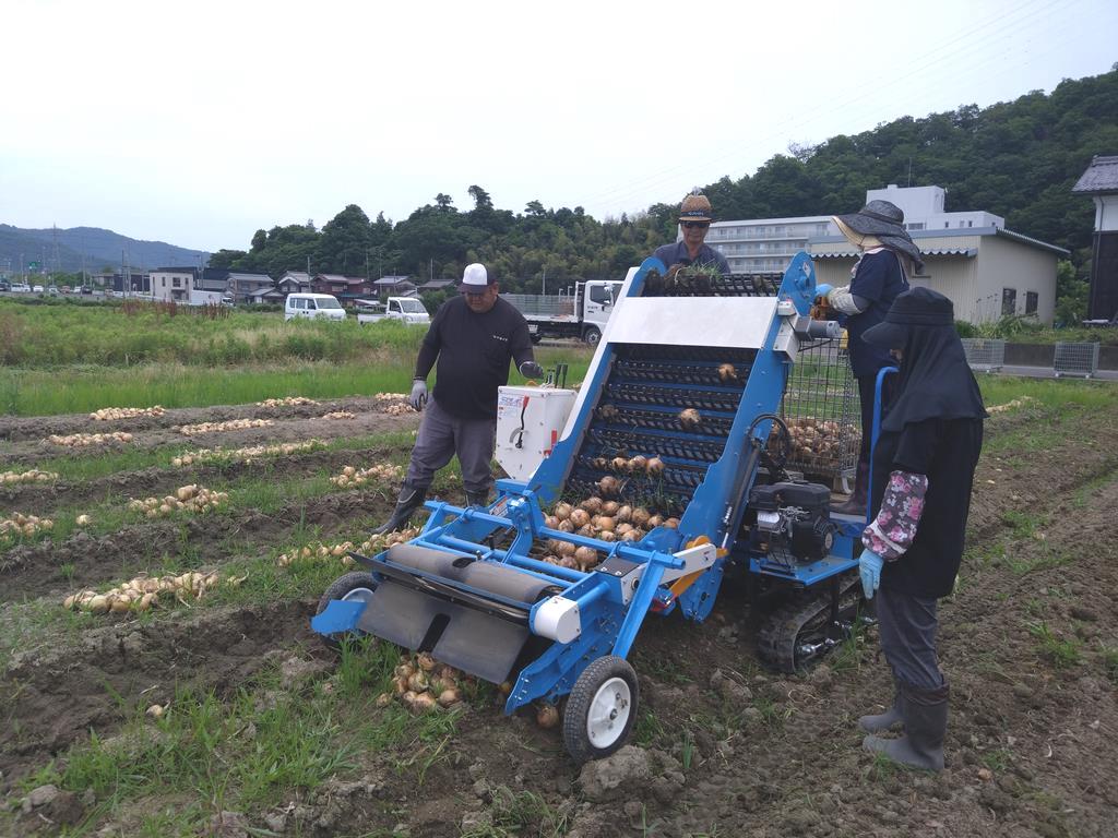 ピッカーで玉ねぎを拾う様子