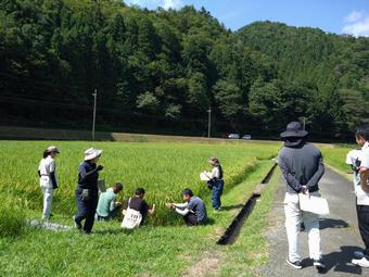 圃場巡回の様子