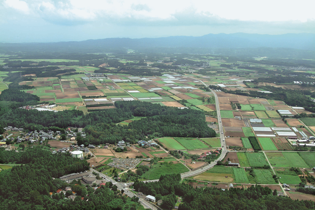 坂井北部丘陵地の景観写真