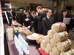 展示の様子