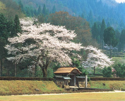 遺跡