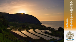 田烏の棚田