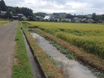 都辺町