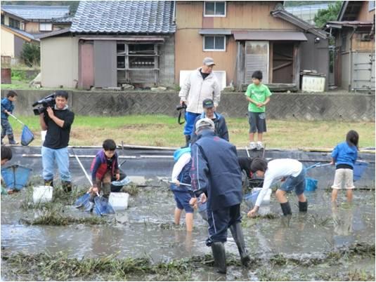 美しい鳥浜