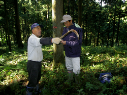 山の健康診断