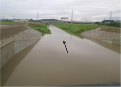 放水路内の状況