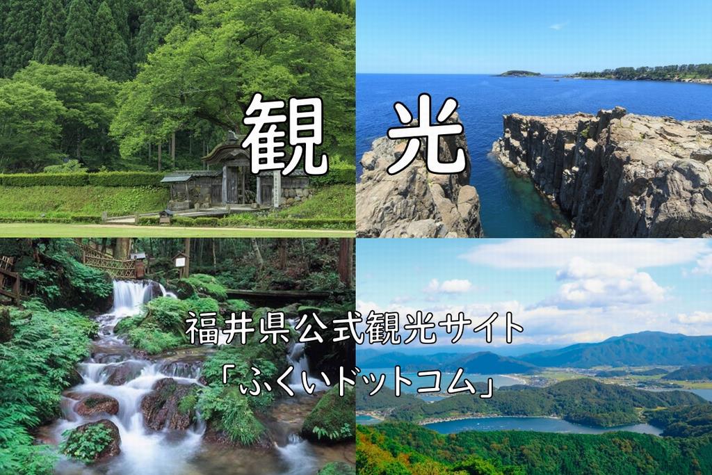 観光情報