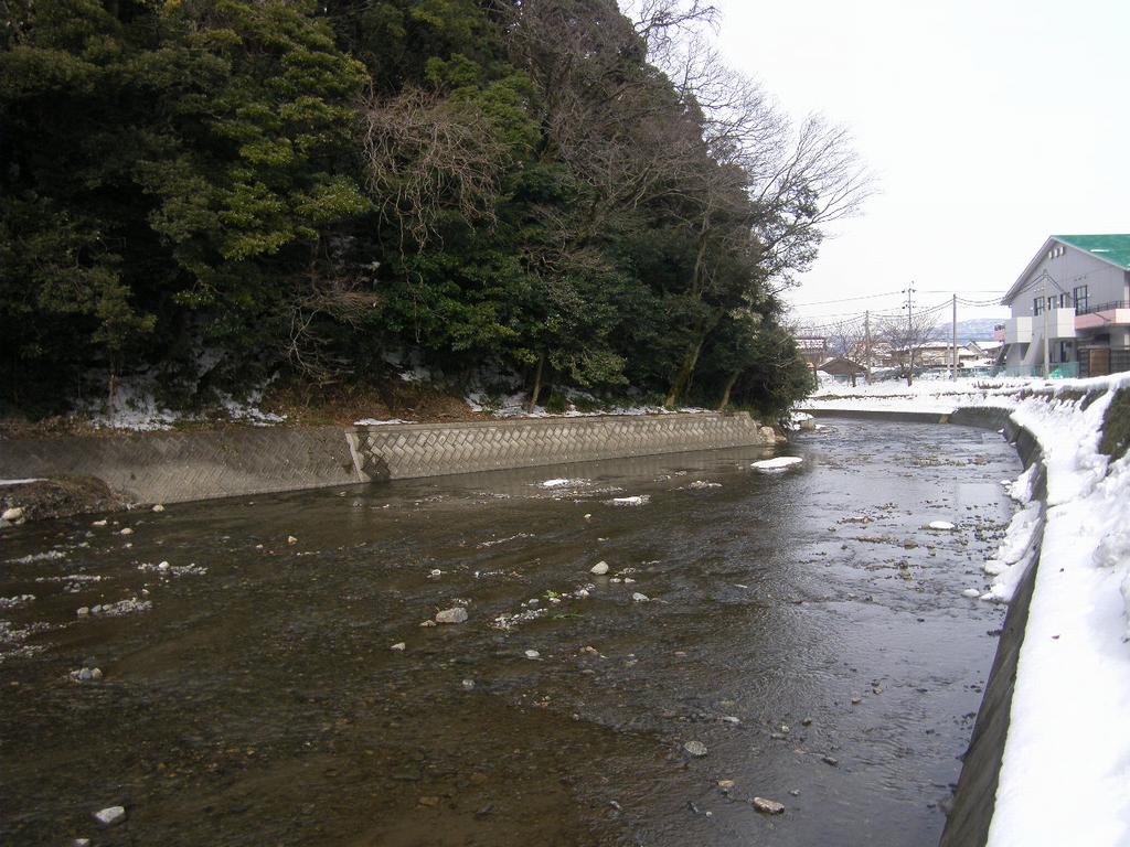 井の口川_後