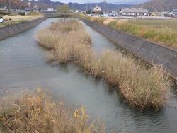 多田川（施工前）