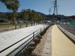 敦賀駅東線の植樹帯