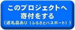 寄付をする（返礼品あり）