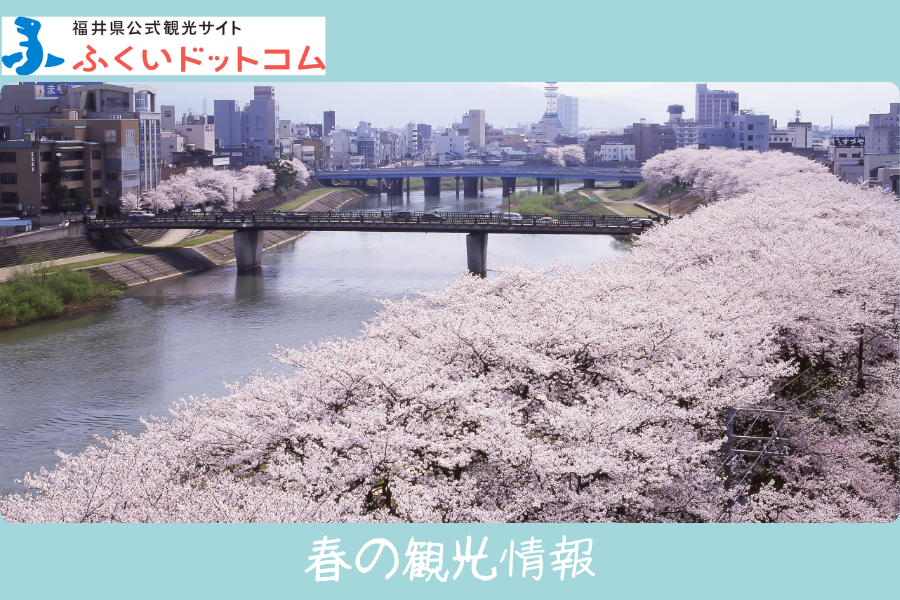 福井県公式観光サイト ふくいドットコム