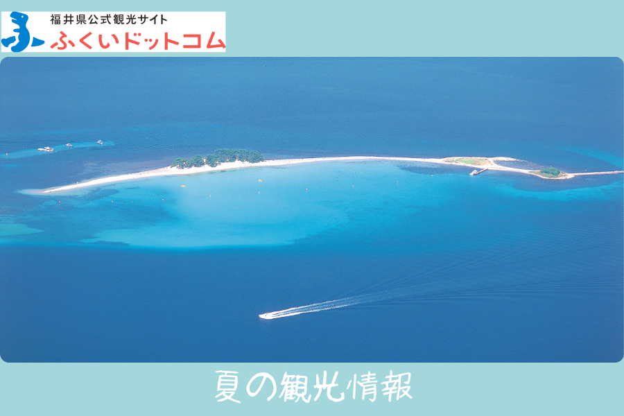 福井県公式観光サイト ふくいドットコム