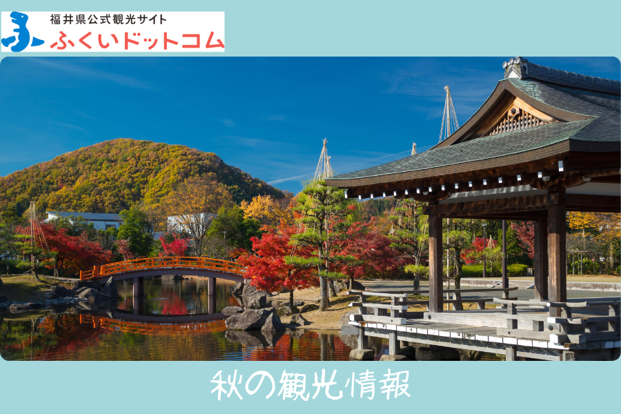 福井県公式観光サイト ふくいドットコム